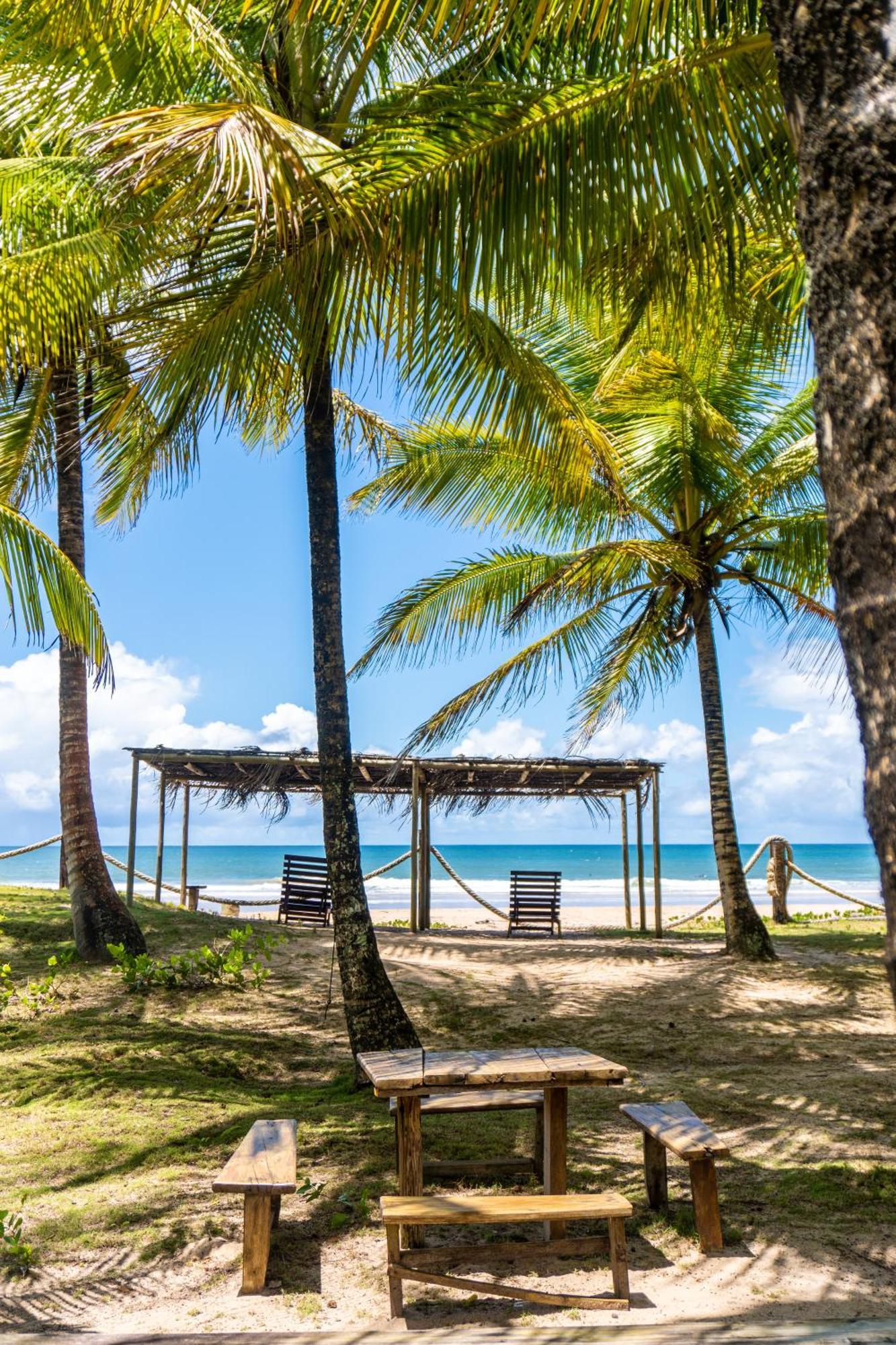 Arandis * Marau (Bahia)